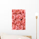Big multiple pink roses background Wall Mural