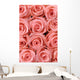 Big multiple pink roses background Wall Mural