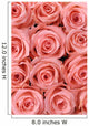 Big multiple pink roses background Wall Mural
