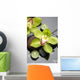Spa Still Life and Green Orchid Flower Wall Mural