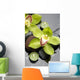 Spa Still Life and Green Orchid Flower Wall Mural