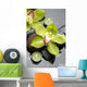 Spa Still Life and Green Orchid Flower Wall Mural