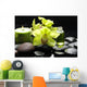 Macro Orchid and Massage Wall Mural