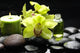 Macro Orchid and Massage Wall Mural