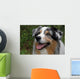 Australian Shepherd Wall Mural