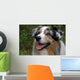 Australian Shepherd Wall Mural