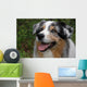 Australian Shepherd Wall Mural