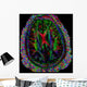 Brain Mri Wall Mural