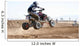 atv riding Wall Mural