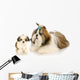 Mother and Puppy Wall Decal