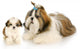 Mother and Puppy Wall Decal