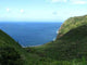 Halawa Valley Wall Decal