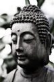 Budha Wall Mural