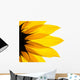 Sunflower Detail White Wall Decal