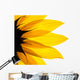 Sunflower Detail White Wall Decal