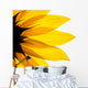 Sunflower Detail White Wall Decal