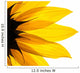 Sunflower Detail White Wall Decal