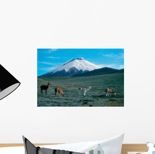 Cotopaxi