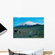 Cotopaxi