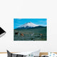 Cotopaxi