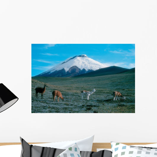 Cotopaxi