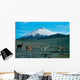 Cotopaxi
