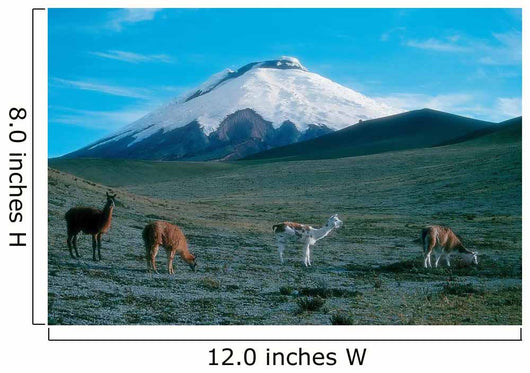 Cotopaxi