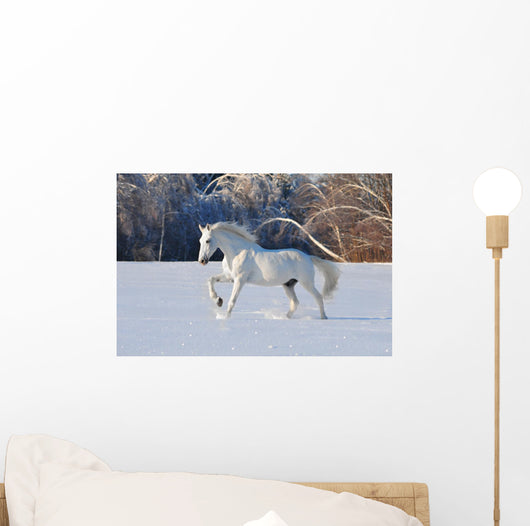 White Horse Winter