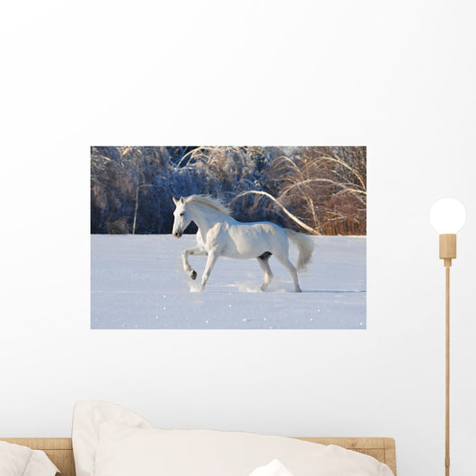 White Horse Winter