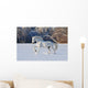 White Horse Winter