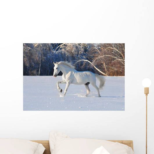 White Horse Winter