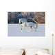 White Horse Winter