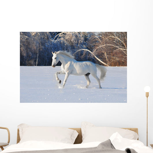White Horse Winter