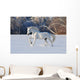 White Horse Winter