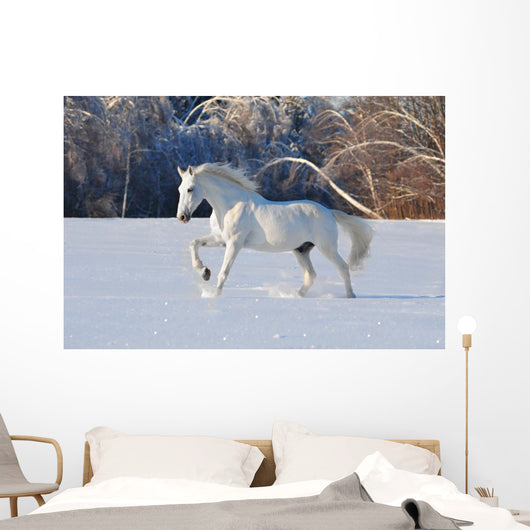 White Horse Winter