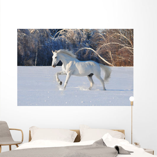 White Horse Winter