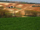 Fields Wall Decal Design 2