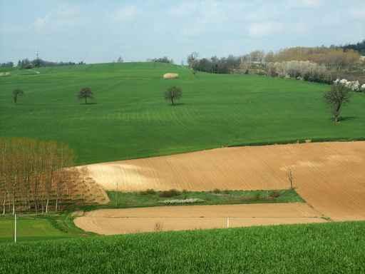 Fields Wall Decal Design 1