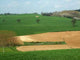 Fields Wall Decal Design 1