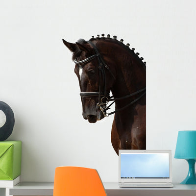 Black Horse Wall Decal shown on a wall