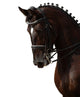 Black Horse Wall Decal