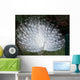 Paon Blanc Profil Wall Mural