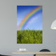 Rainbow Wall Decal Design 2