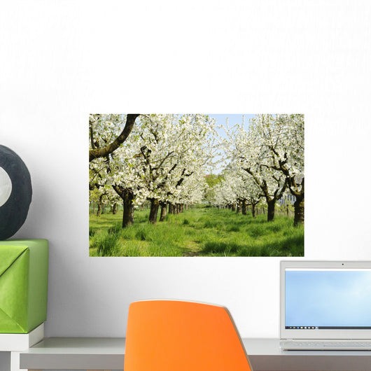 Orchard