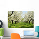 Orchard