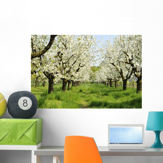 Orchard