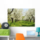 Orchard