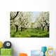 Orchard