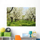 Orchard