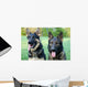 German Shepherd Dog